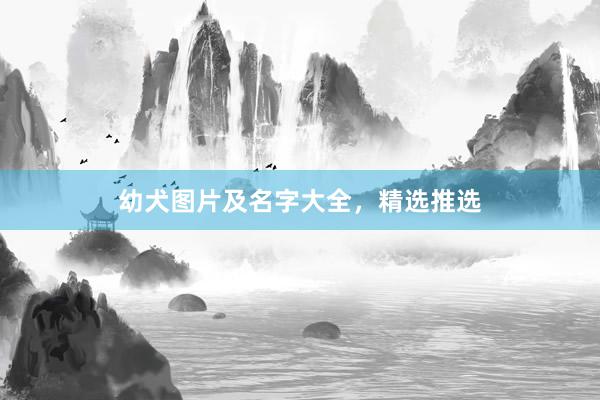 幼犬图片及名字大全，精选推选